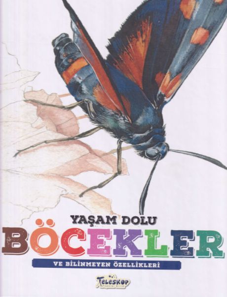 Yaşam Dolu Böcekler-zoom-