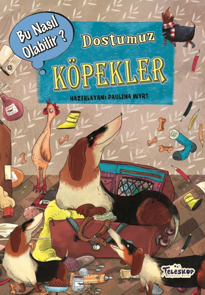 Dostumuz Köpekler - Bu Nasıl Olabilir?-zoom-