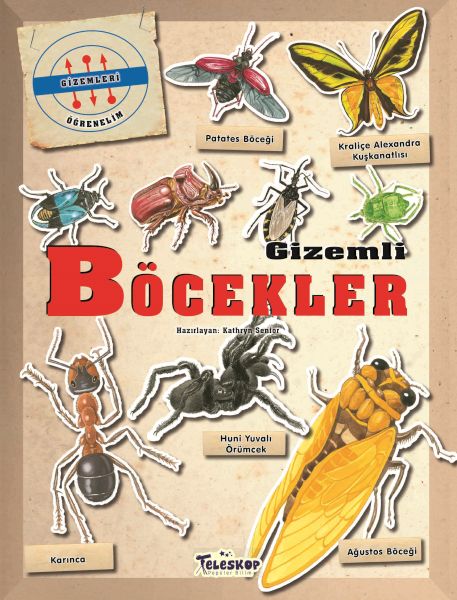Gizemleri Öğrenelim - Gizemli Böcekler-zoom-