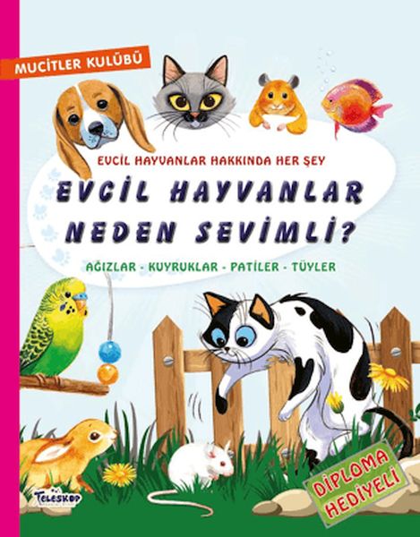 Evcil Hayvanlar Neden Sevimli?-zoom-