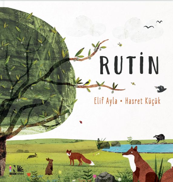 Rutin-zoom-