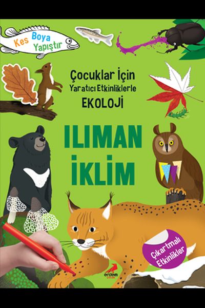 Ilıman İklim - Çocuklar İçin Yaratıcı Etkinliklerle Ekoloji - Kes-Boya-Yapıştır-zoom-