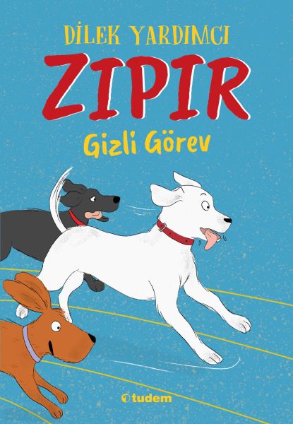 Zıpır Gizli Görev-zoom-