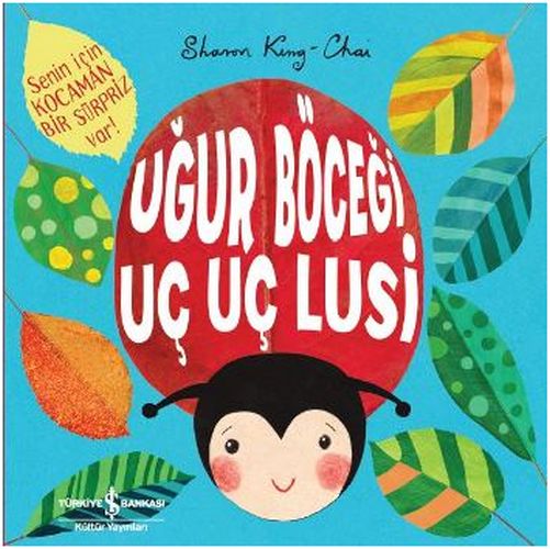 Uğur Böceği Uç Uç Lusi-zoom-
