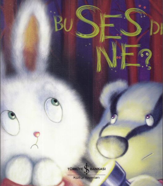 Bu Ses de Ne?