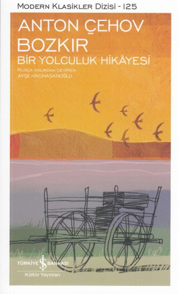 Bozkır Bir Yolculuk Hikayesi - Modern Klasikler Dizisi-zoom-