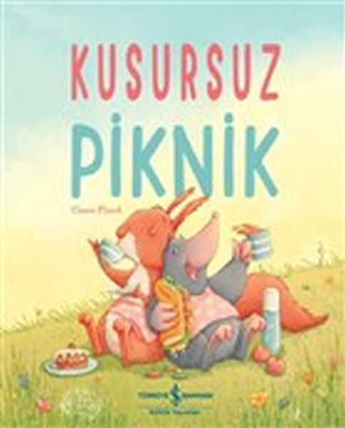 Kusursuz Piknik-zoom-