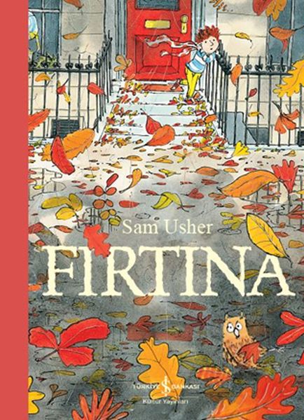 Fırtına-zoom-