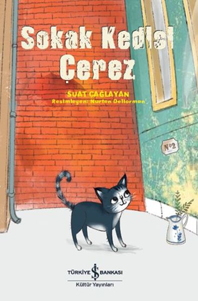 Sokak Kedisi Çerez-zoom-