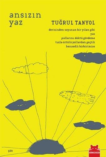 Ansızın Yaz-zoom-