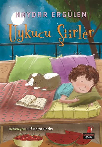 Uykucu Şiirler-zoom-