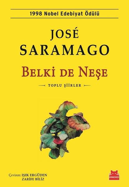 Belki de Neşe-zoom-