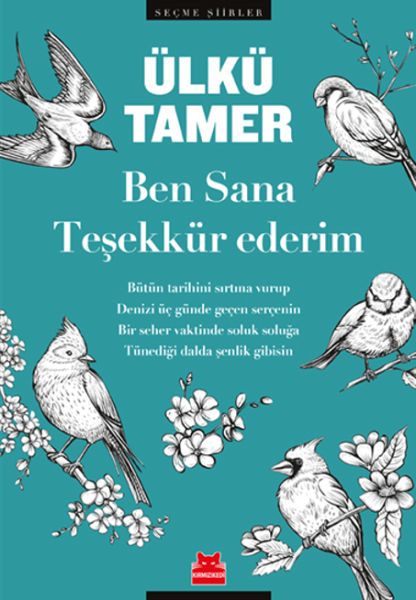 Ben Sana Teşekkür Ederim-zoom-