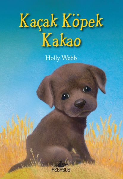 Kaçak Köpek Kakao-zoom-