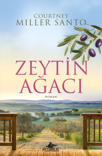 Zeytin Ağacı-zoom-
