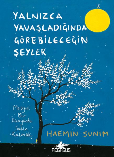 Yalnızca Yavaşladığında Görebileceğin Şeyler (Ciltli)-zoom-