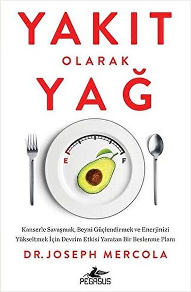 Yakıt Olarak Yağ-zoom-