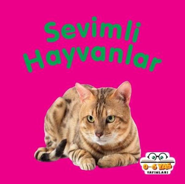 Sevimli Hayvanlar - Mini Karton Kitaplar-zoom-