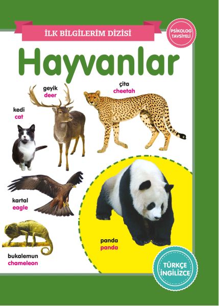 Hayvanlar - İlk Bilgilerim Dizisi