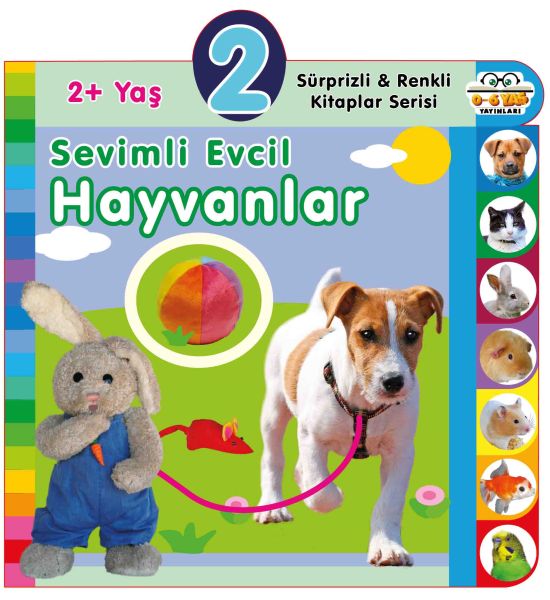 Yaş Sevimli Evcil Hayvanlar (2+Yaş)-zoom-