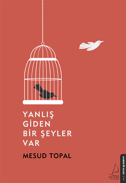 Yanlış Giden Bir Şeyler Var-zoom-