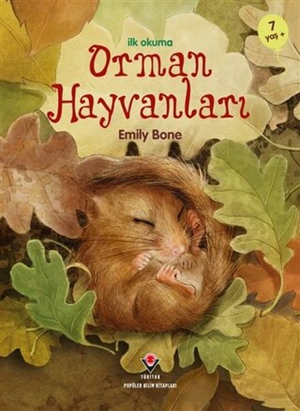 İlk Okuma - Orman Hayvanları-zoom-