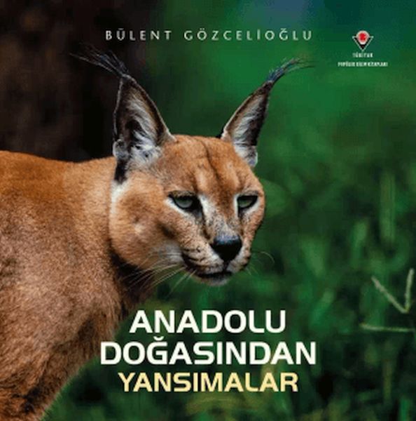 Anadolu Doğasından Yansımalar-zoom-
