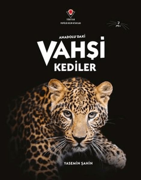 Anadolu'Daki Vahşi Kediler-zoom-