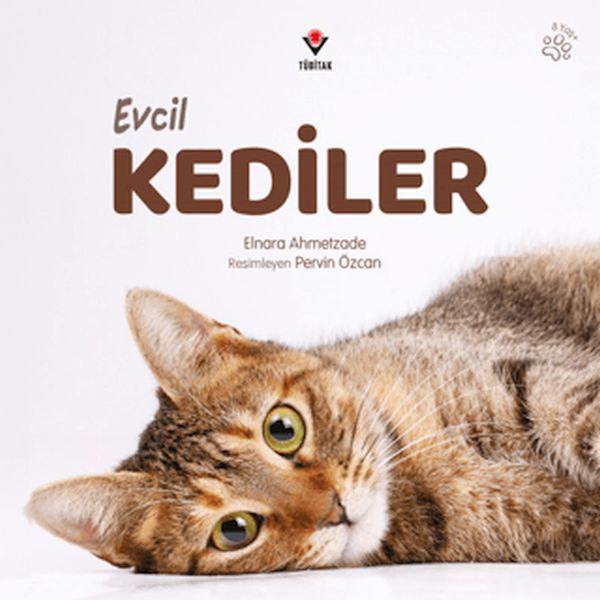 Evcil Kediler-zoom-