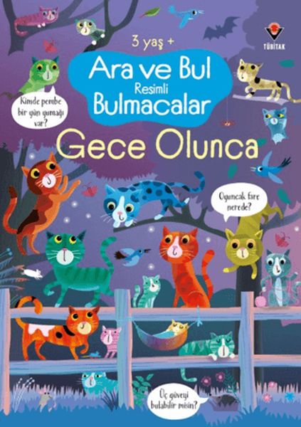 Ara ve Bul Resimli Bulmacalar - Gece Olunca-zoom-