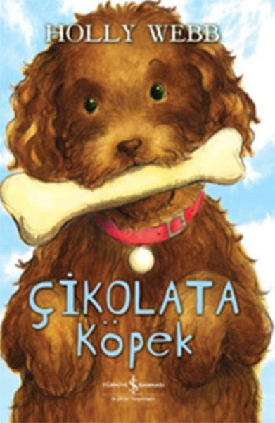 Çikolata Köpek-zoom-