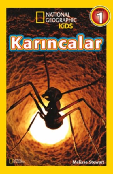 National Geographic Kids - Karıncalar-zoom-