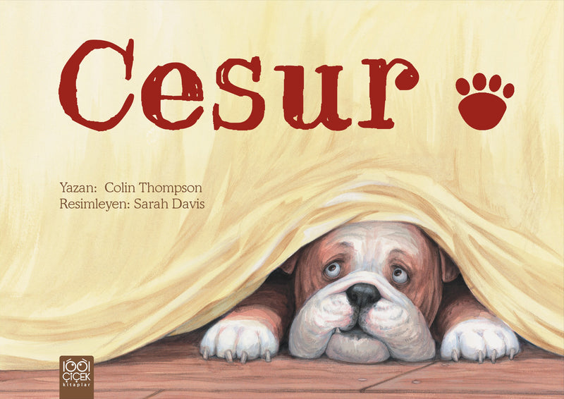 Cesur-zoom-