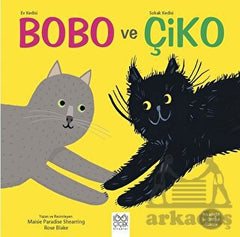 Ev Kedisi Bobo ve Sokak Kedisi Çiko- Arkadaşlık ve Dostluk Üzerine