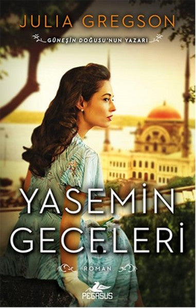 Yasemin Geceleri-zoom-