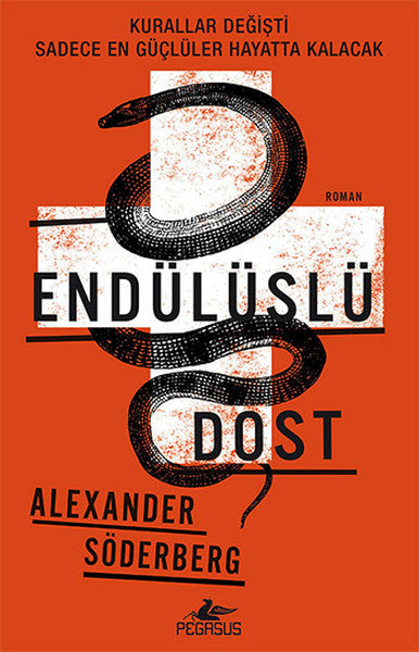 Endülüslü Dost-zoom-