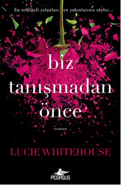 Biz Tanışmadan Önce-zoom-