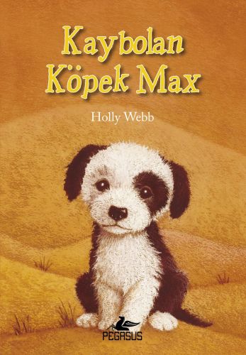 Kaybolan Köpek Max-zoom-