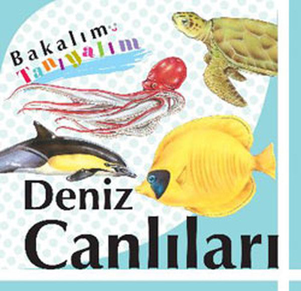 Bakalım Tanıyalım Deniz Canlıları (Ciltli)-zoom-