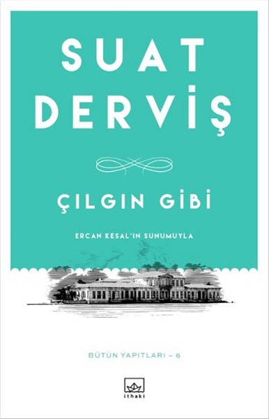 Çılgın Gibi-zoom-