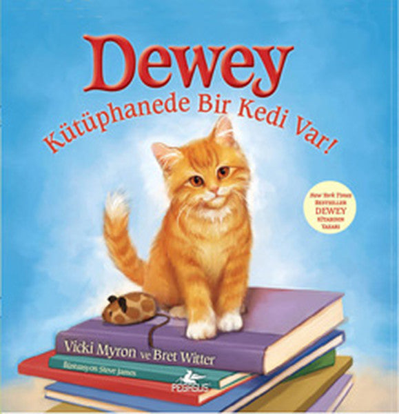 Dewey  Kütüphanede Bir Kedi Var!-zoom-