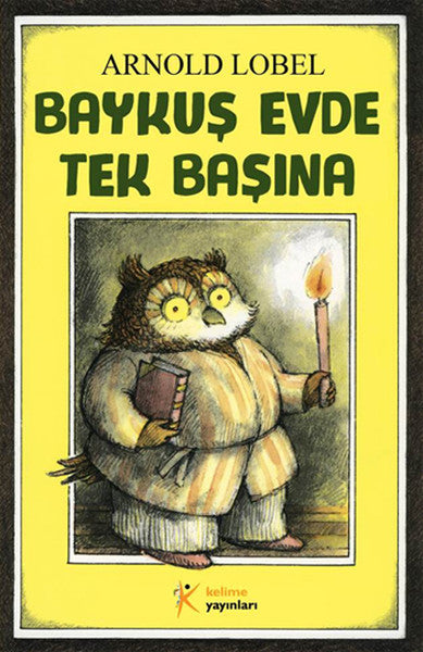 Baykuş Evde Tek Başına-zoom-