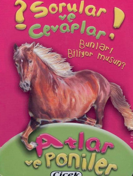 Sorular Ve Cevaplar Kart Atlar Ve Poniler-zoom-