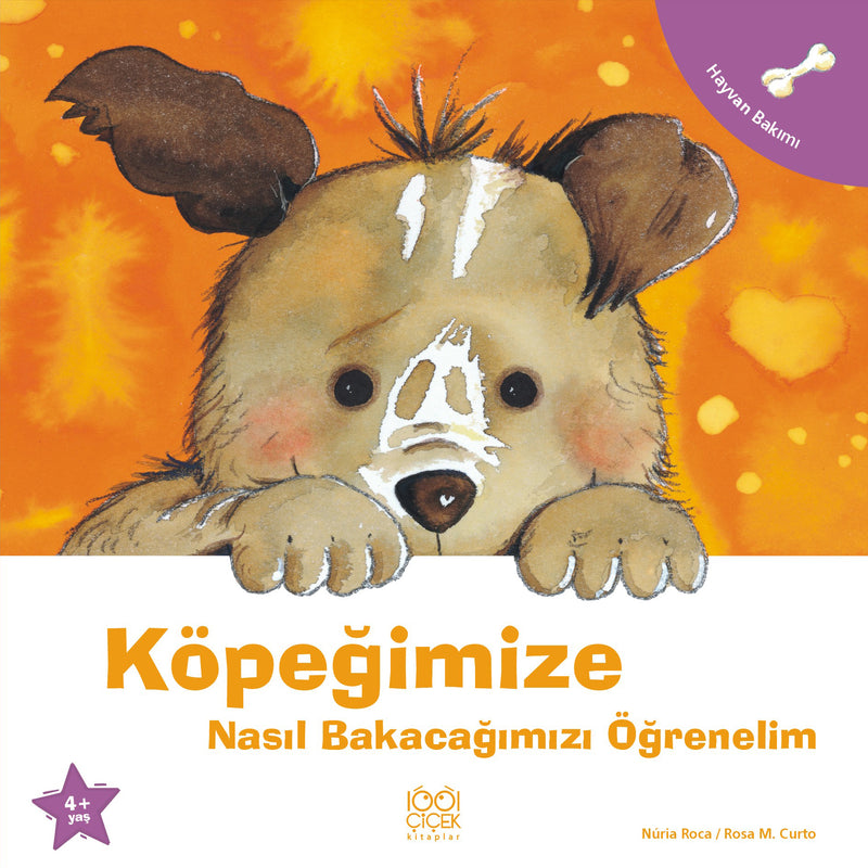 Köpeğimize Nasıl Bakacağımızı Öğrenelim-zoom-