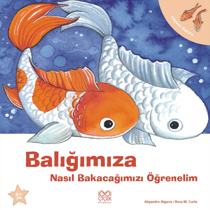 Balığımıza Nasıl Bakacağımızı Öğrenelim-zoom-