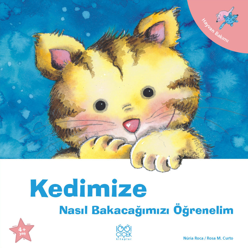 Kedimize Nasıl Bakacağımızı Öğrenelim-zoom-