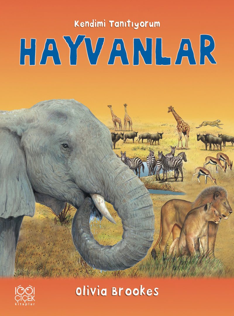 Hayvanlara Soralım-zoom-