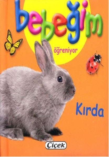 Bebeğim Öğreniyor - Kırda-zoom-