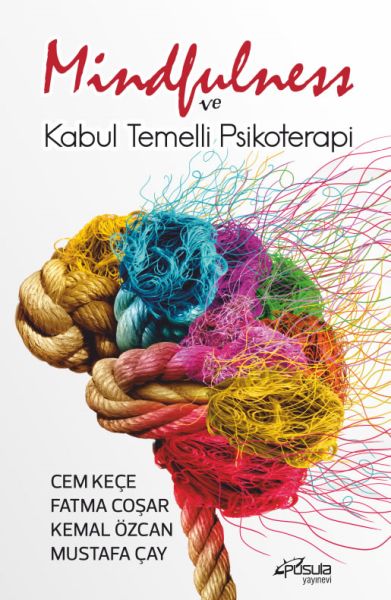 Mindfulness ve Kabul Temelli Psikoterapi-zoom-