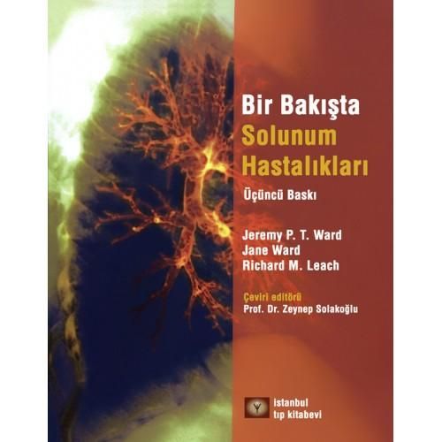 Bir Bakışta Solunum Sistemi-zoom-